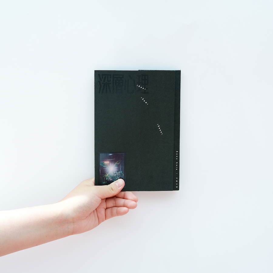 See Saw Seen 深層心理