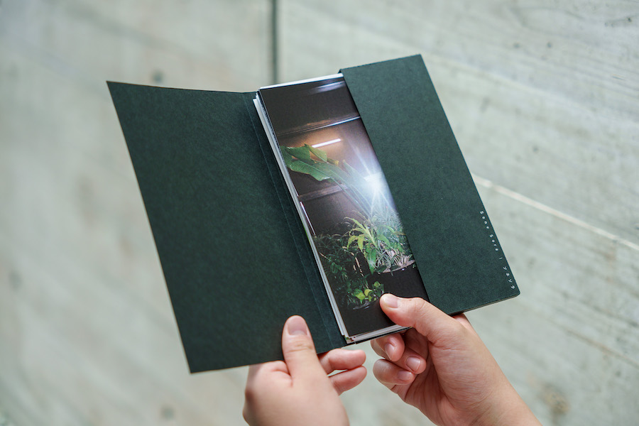 See Saw Seen 深層心理