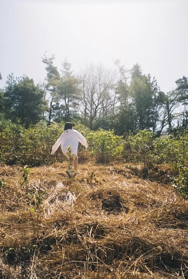 はばたきのイメージ
