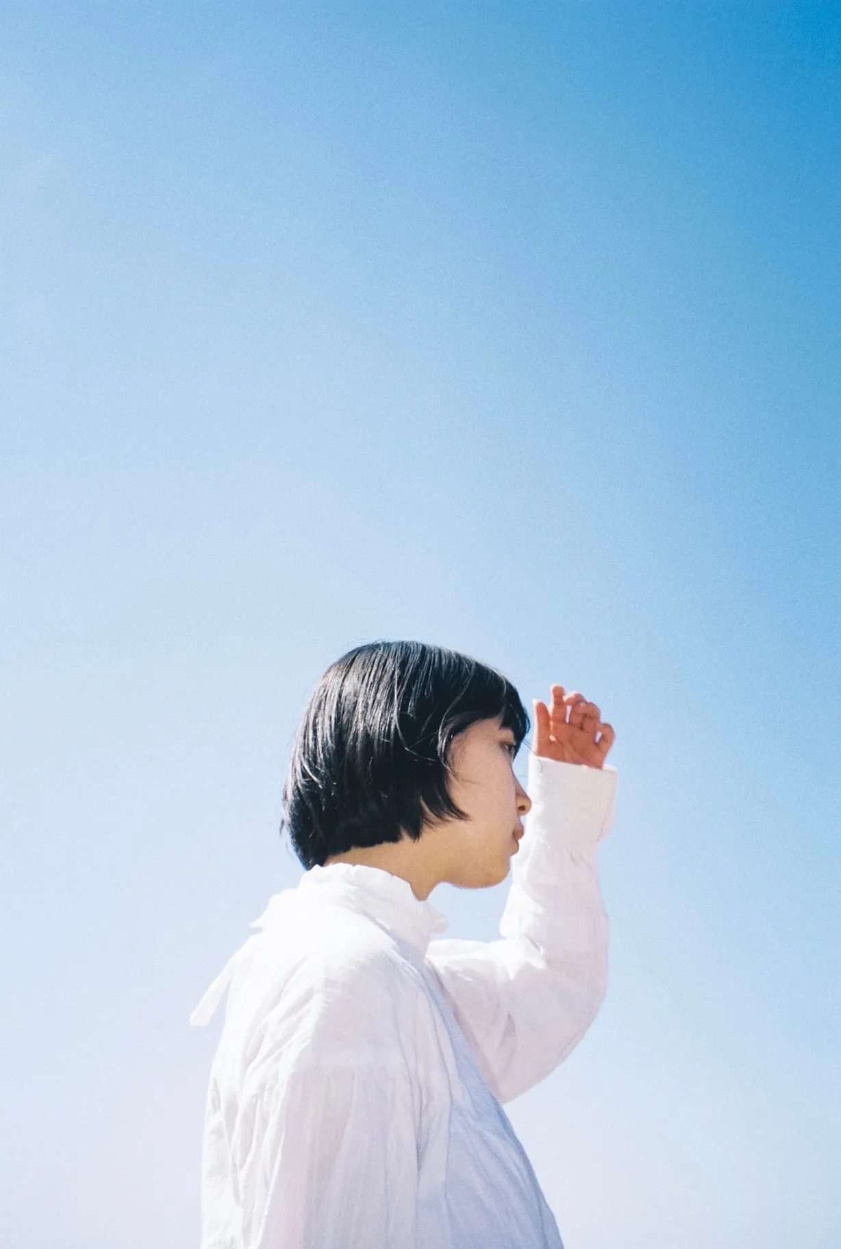 はばたきのイメージ